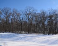 DSC_8174.jpg
