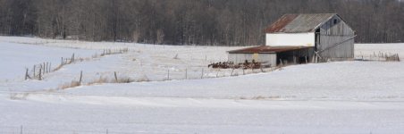 DSC_8210.jpg
