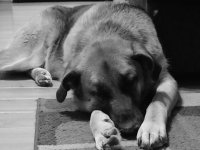 DSCN0465.JPG