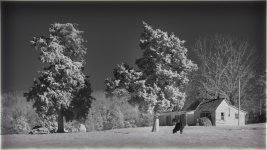 _DSC4792-Edit-Edit.jpg