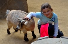 10th Jan 2015 074.JPG