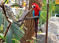 10th Jan 2015 085.JPG