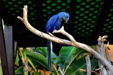 10th Jan 2015 090.JPG