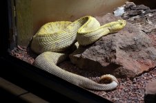 10th Jan 2015 105.JPG