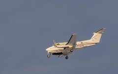 DSC_8217.jpg