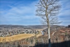 DSC_5208.jpg