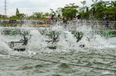 water-oxigen-2.jpg