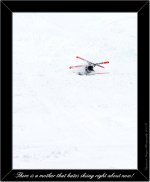 DSC_3691.jpg