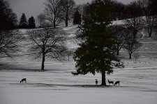 _AAA4263 - Version 2 - 2015-01-11 at 17-26-08.jpg