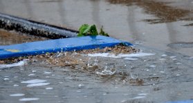 11th Jan 2015 004.JPG