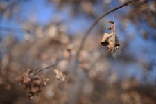 DSC_0151.jpg