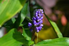 DSC_1026.jpg
