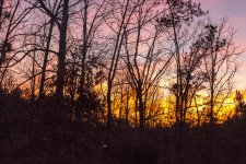 sunset.jpg