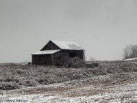 DSCN2347.jpg