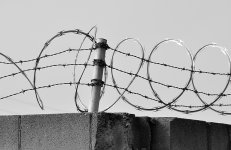 Barbed3.jpg