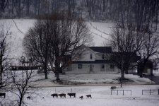DSC_8276.jpg