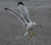 DSC_8295.jpg