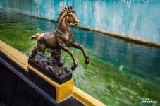 horse-1.jpg