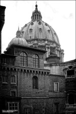 Backside of Saint Peters.jpg