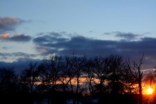 DSC_8307.jpg