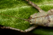 DSC_7786.jpg