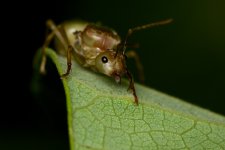 DSC_7804.jpg