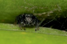 DSC_7796.jpg