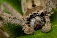 DSC_7789.jpg