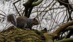 DSC_0267.jpg