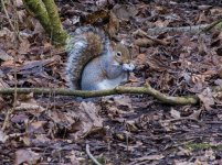 DSC_0258.jpg