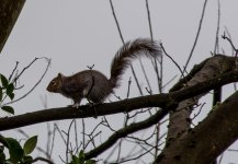 DSC_0257.jpg
