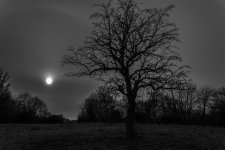 DSC_0254-5.jpg