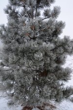 DSC_8371.jpg