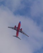 DSC_8393.jpg