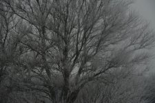 DSC_8377.jpg