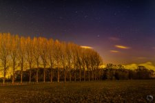 _DSC2332-Edit.jpg