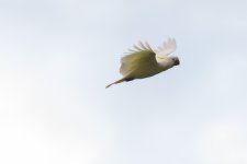 DSC_3878.jpg