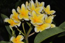 CSC_0012.jpg