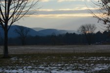 DSC_8409.jpg