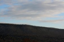 DSC_8405.jpg