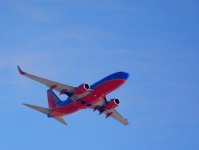 DSC_8395.jpg