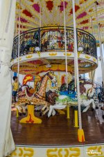 carousel-1.jpg