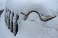 Joys of winter.jpg