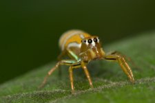 DSC_7853.jpg