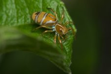 DSC_7855.jpg