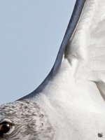 DSC_8690-Edit-2.jpg