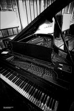 Oberlin Piano 2013 BW.jpg