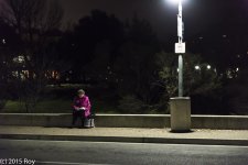 Woman Reading A Book in The Cold-4.jpg