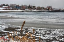 D7100 #3 Cape 60mm-Winter HD5.jpg