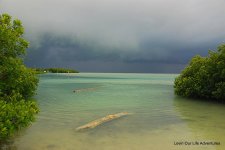 DSC_2042.jpg